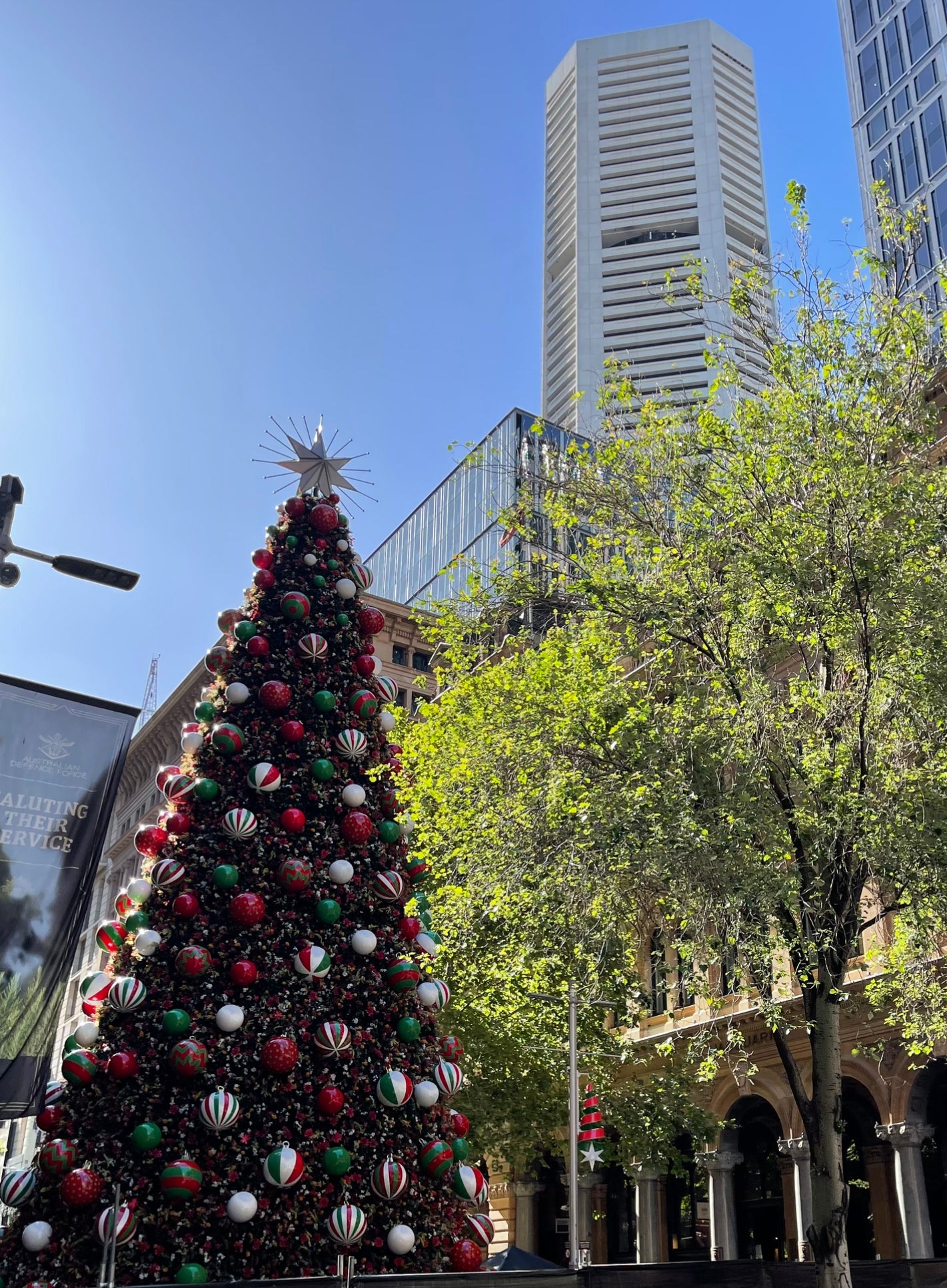 Our Christmas Tree in Sydney - Xmas gifting and jewellery