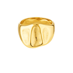 14k Gold fill textured ring 